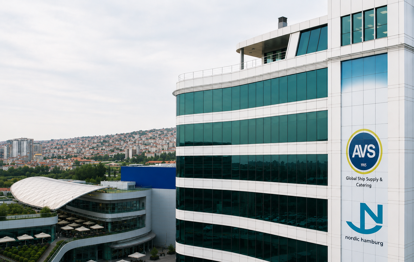 About The Company AVS