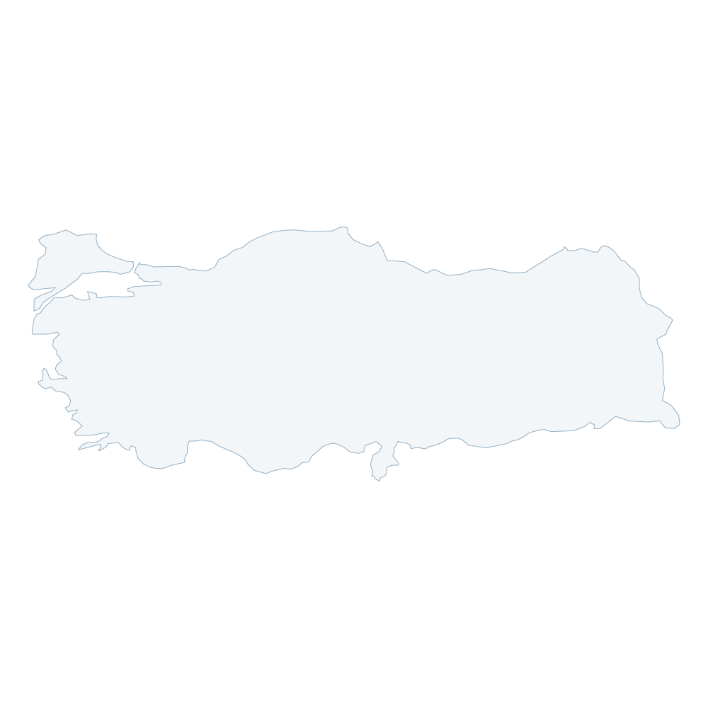 AVS Ağı