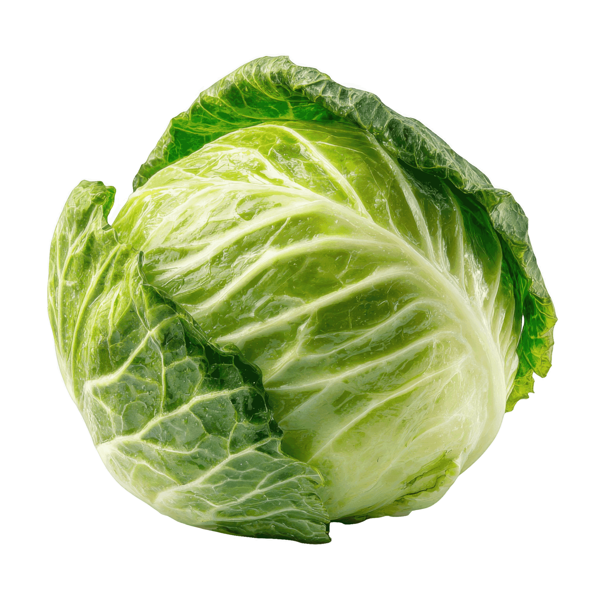 Alsace Lahanası