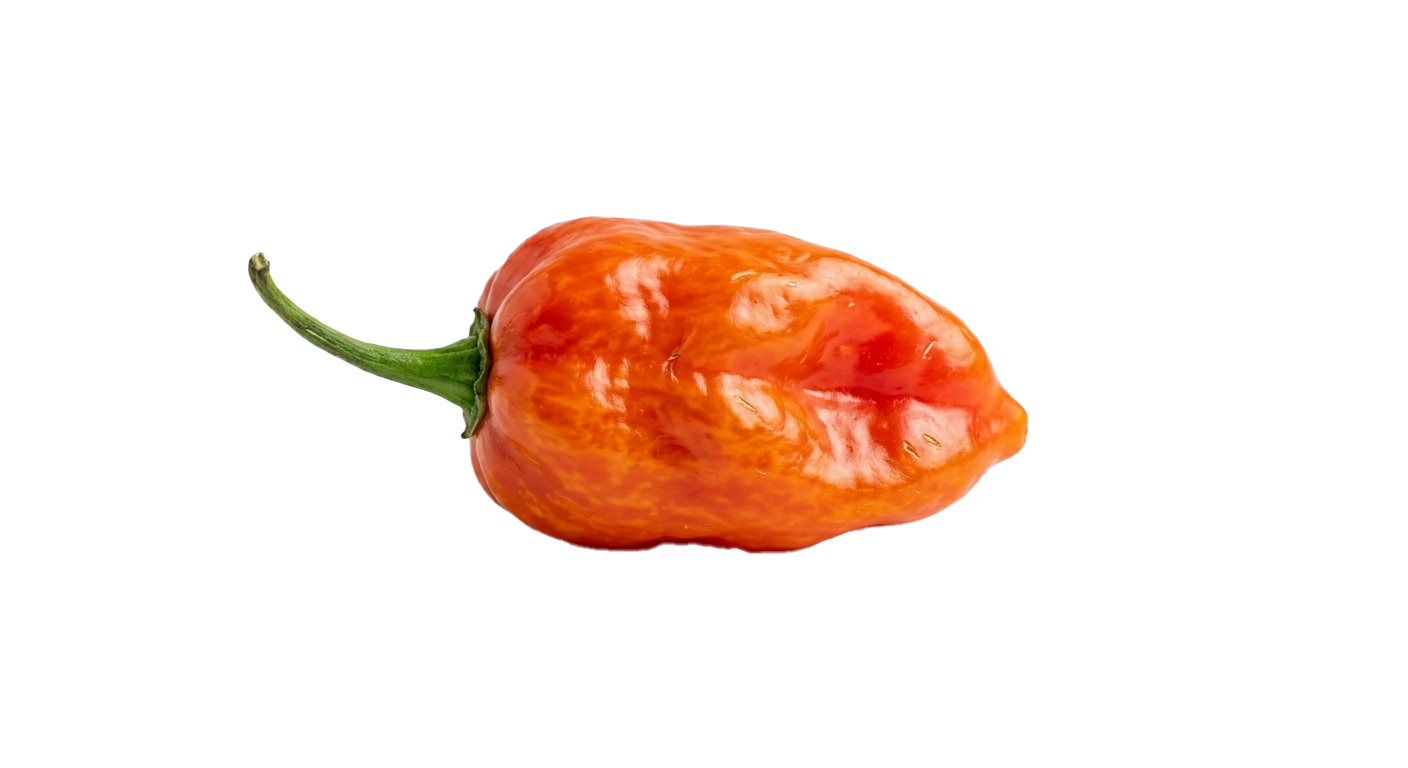 Habanero Peppers