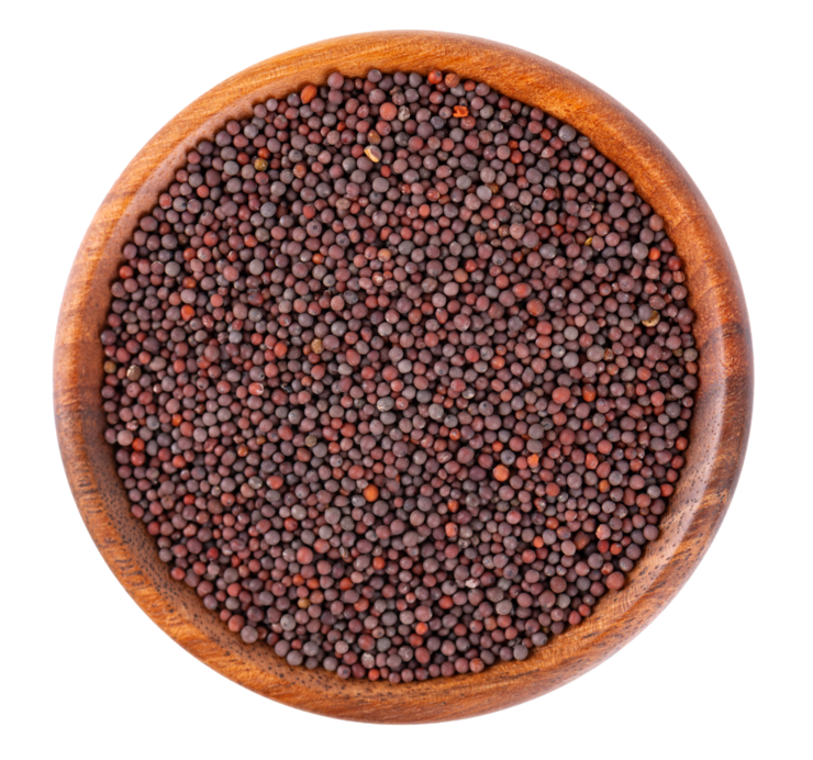 Burgundy Mustard Seeds