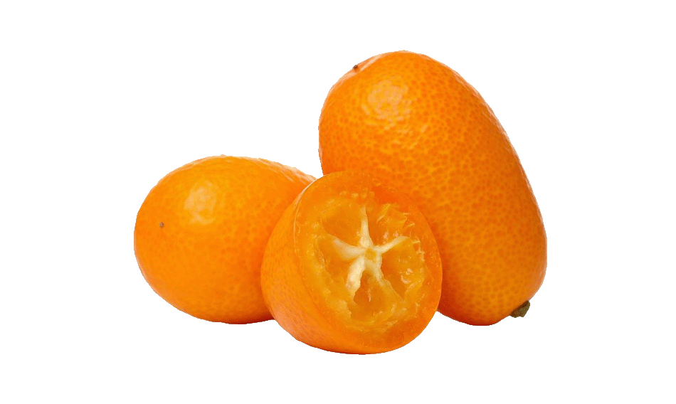 Corfu Kumquat
