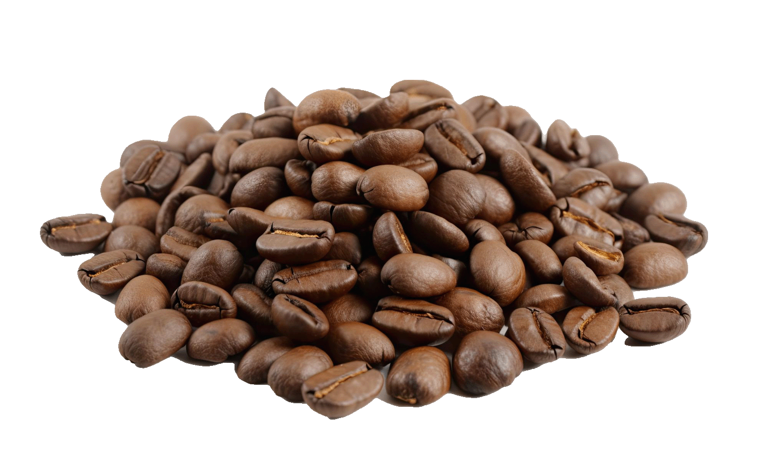 Robusta Coffee Beans
