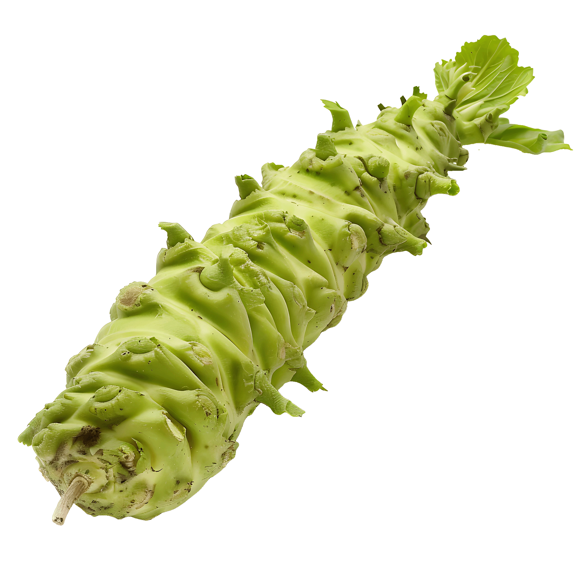 Real Wasabi