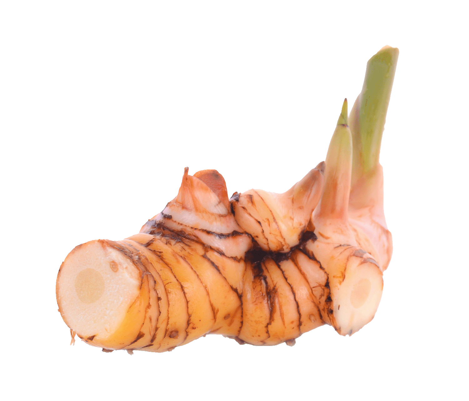 Galangal and Root Spices